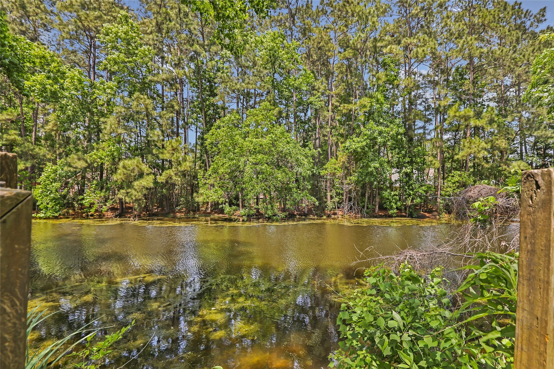 2543 Fountain View Street, New Caney, TX 77357 Pine Pond - So Peaceful!