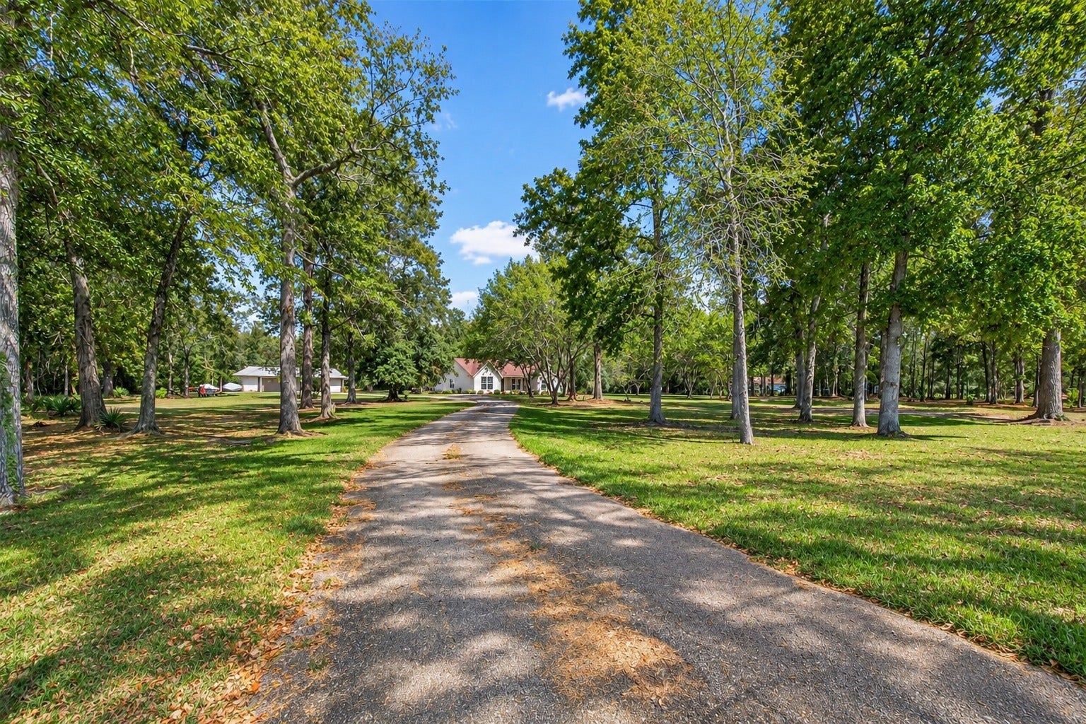 Long, tree-lined driveway welcomes you into this beautiful 5.34-acre property.