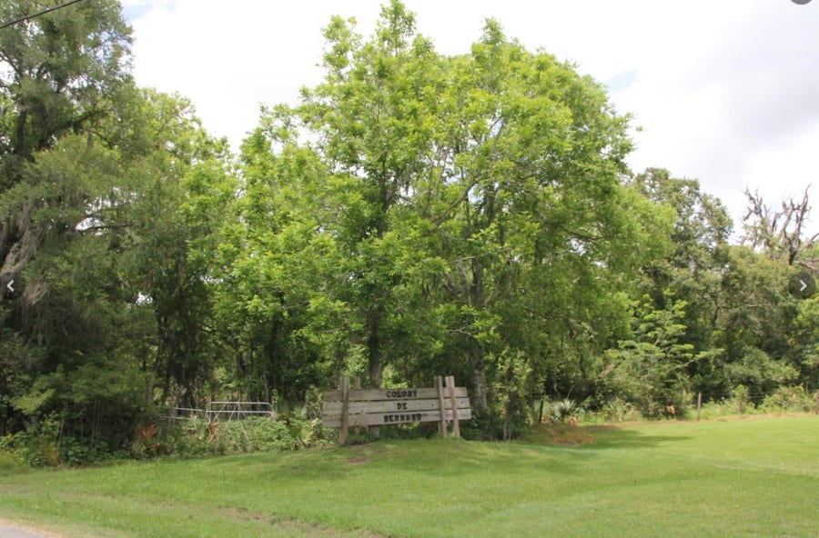 Property photo for TBD Cr-825e, West Columbia, TX