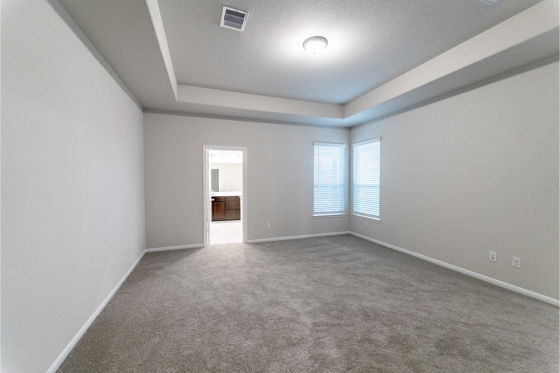 2818 Blue Iolite Drive, Iowa Colony, TX 77583 2818 Blue Iolite Drive, Iowa Colony, TX 77583