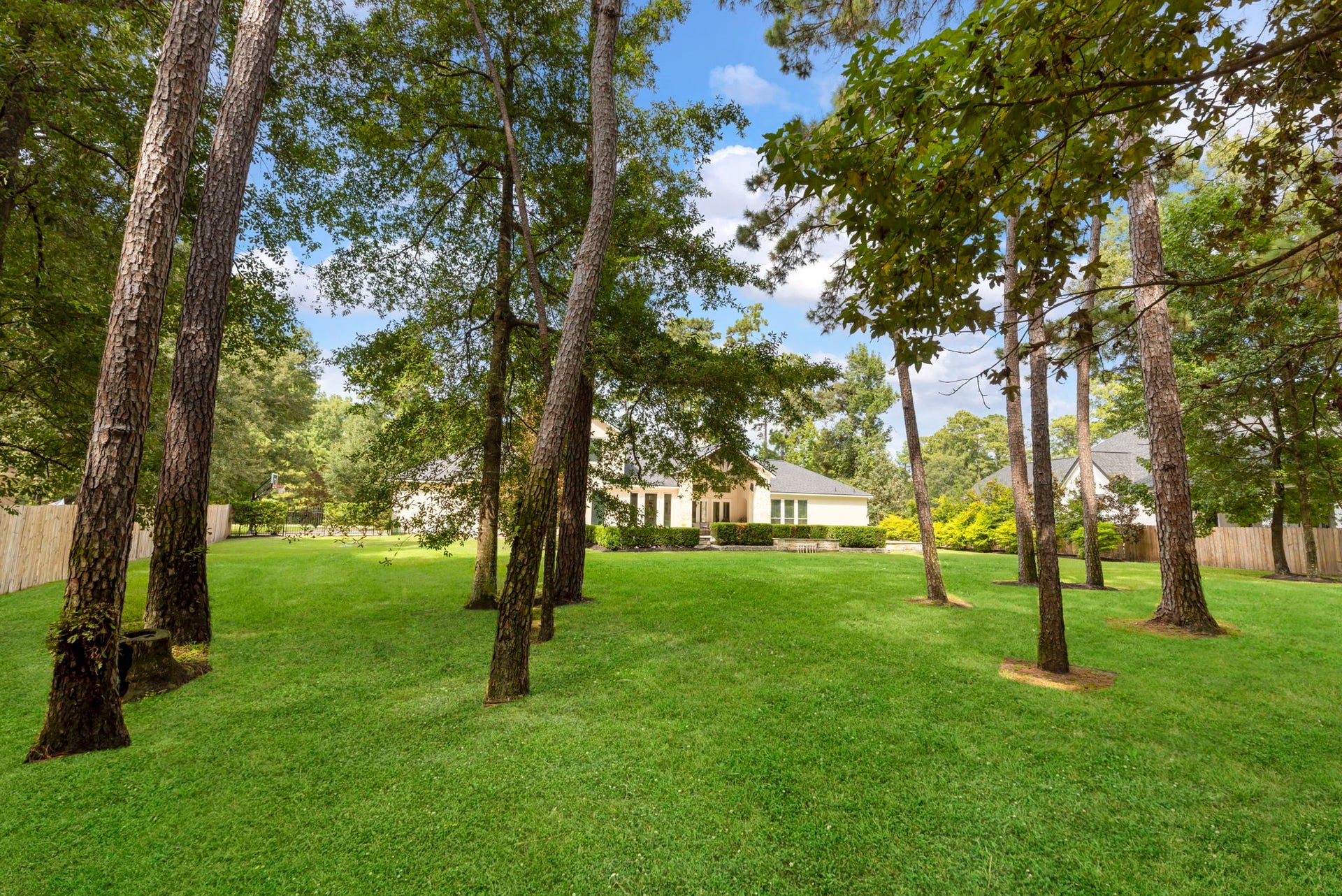 A sprawling, tree-shaded lawn offers abundant green space beyond the pool, framed by mature pines and privacy fencing.