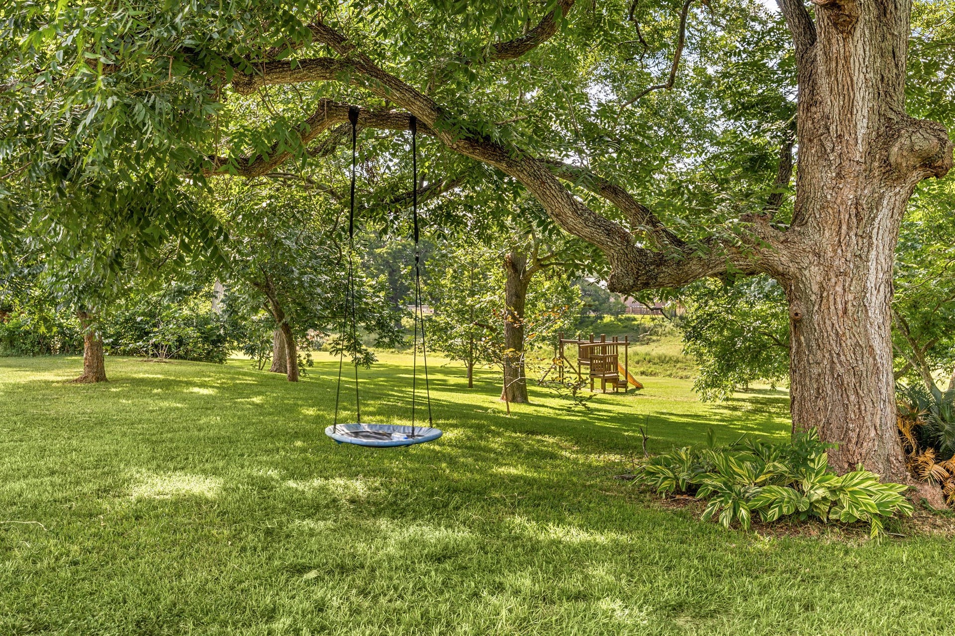 Mature pecan, magnolia, sycamore, and fruit trees enhance the park-like property.