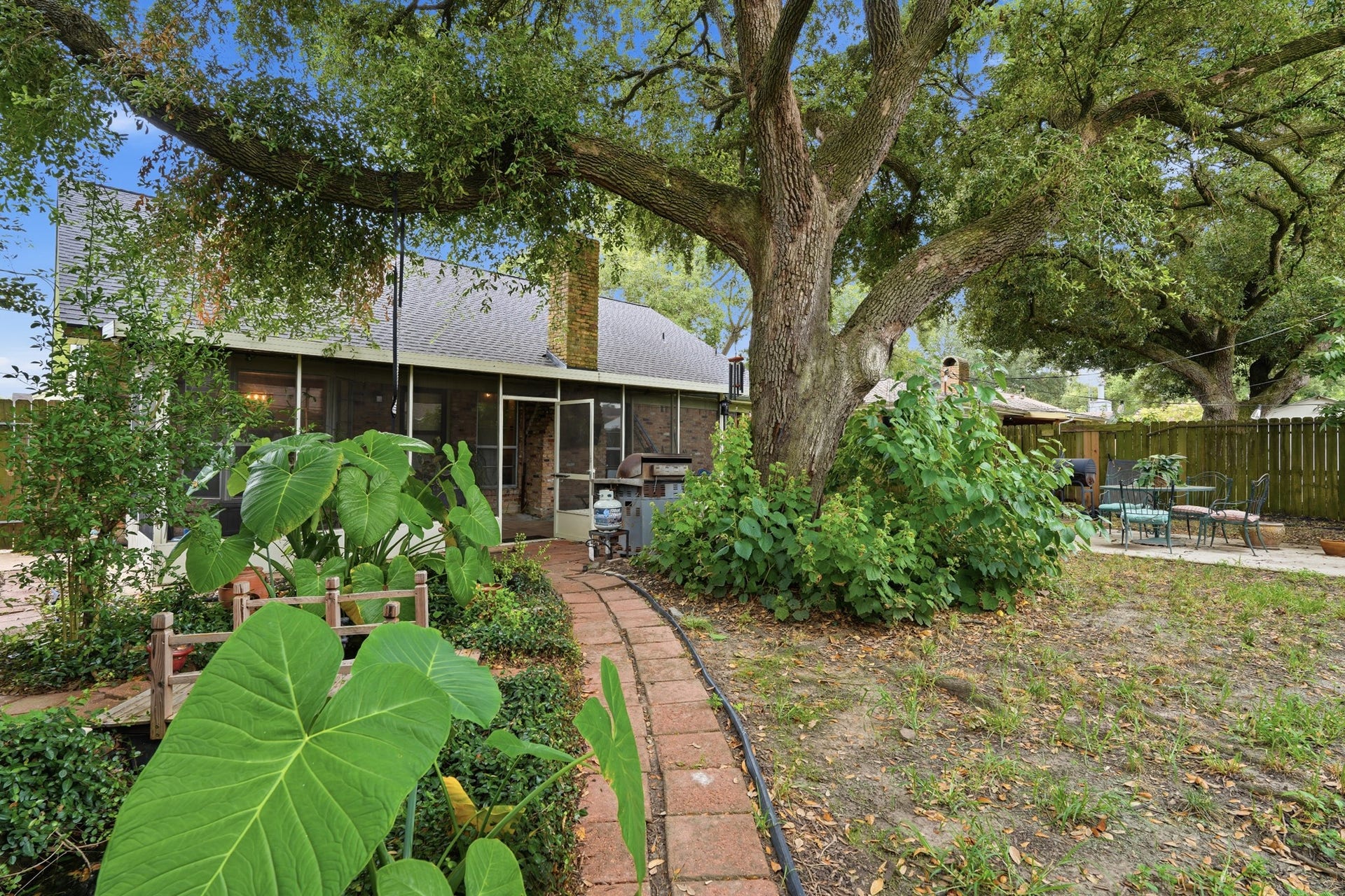 2216 Peach Lane, Pasadena, TX 77502 The photo showcases a charming backyard with a large, mature tree providing ample shade. There's a brick path leading to the house with a screened-in porch, surrounded by lush greenery and a small patio area for outdoor seating. Ideal for relaxing and entertaining.