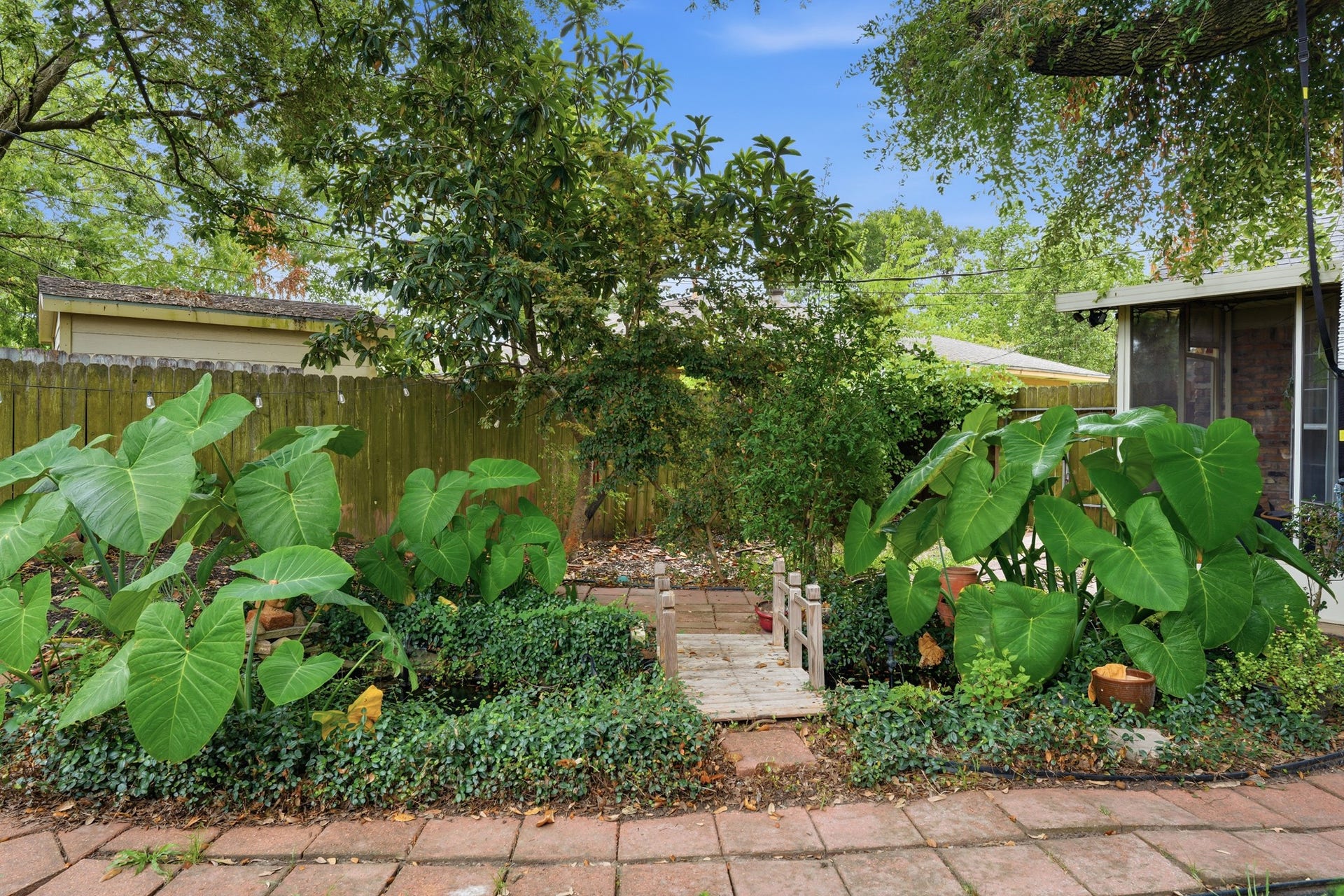 2216 Peach Lane, Pasadena, TX 77502 This lush backyard oasis features a charming pond surrounded by vibrant greenery, offering a serene escape right at home.