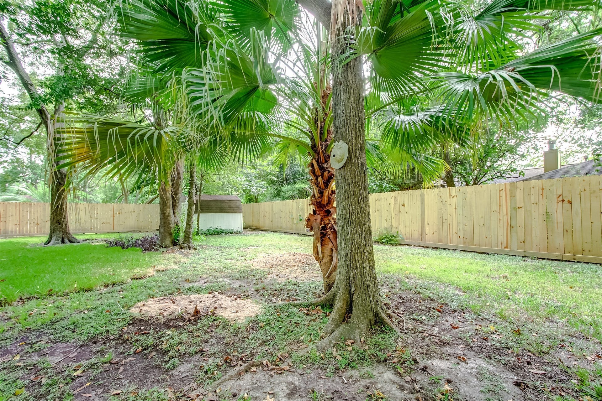3515 Mona Lee Lane, Houston, TX 77080 3515 Mona Lee Lane, Houston, TX 77080