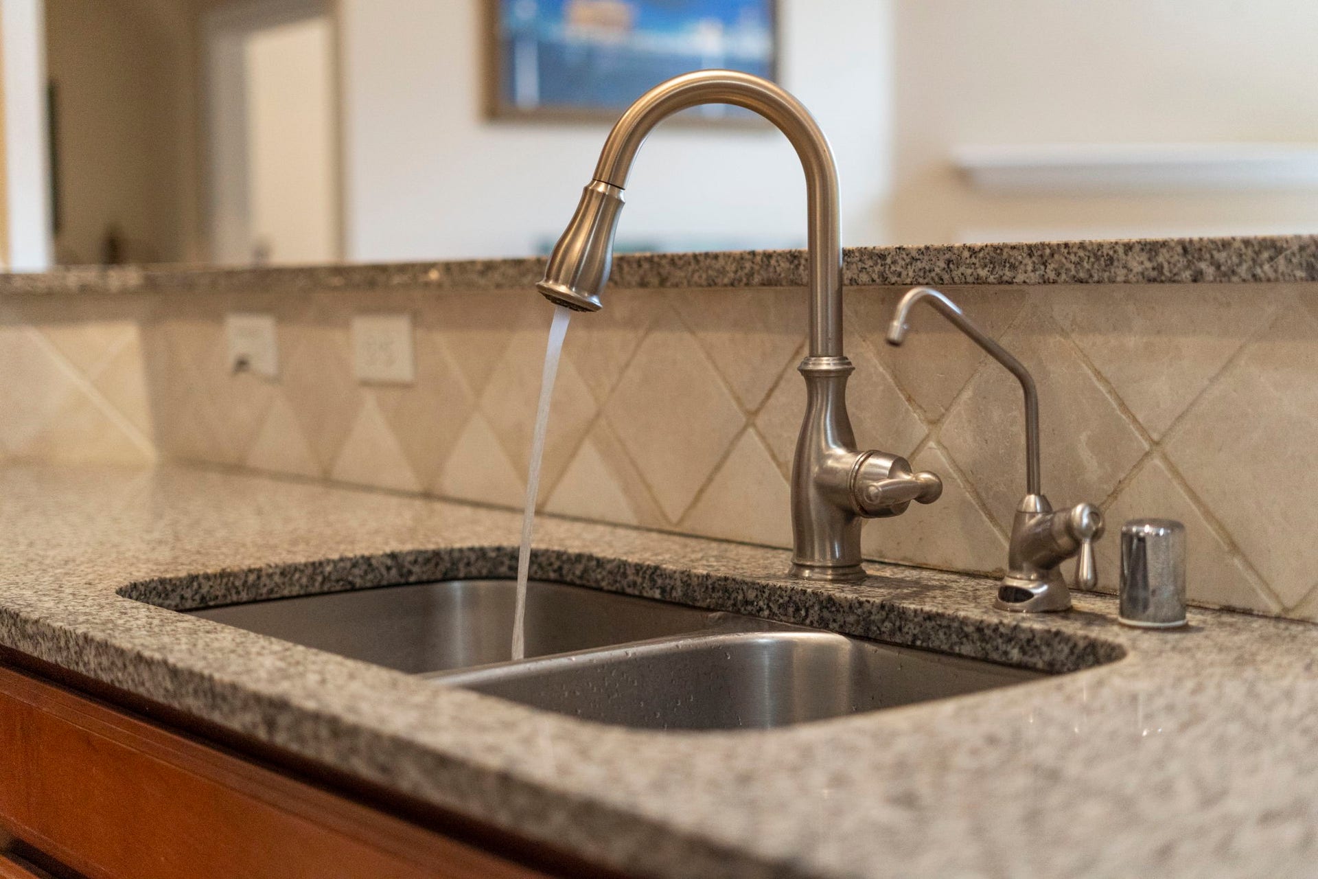 5515 Mangrove Creek Lane, Sugar Land, TX 77479 Double-basin stainless steel sink with a pull-down faucet and a separate water filtration faucet.