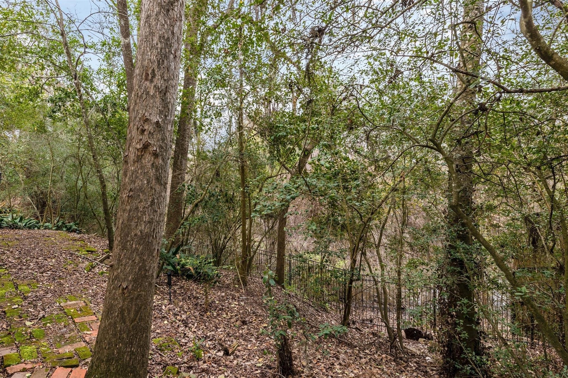 417 White Wing Lane, Houston, TX 77079 417 White Wing Lane, Houston, TX 77079