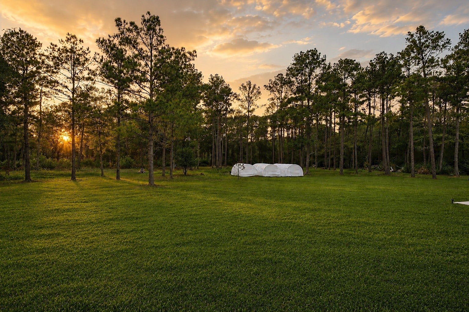 1031 Hunters Creek Way, Hockley, TX 77447 1031 Hunters Creek Way, Hockley, TX 77447