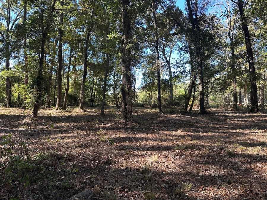 Property photo for 27316 Frye Road, Splendora, TX