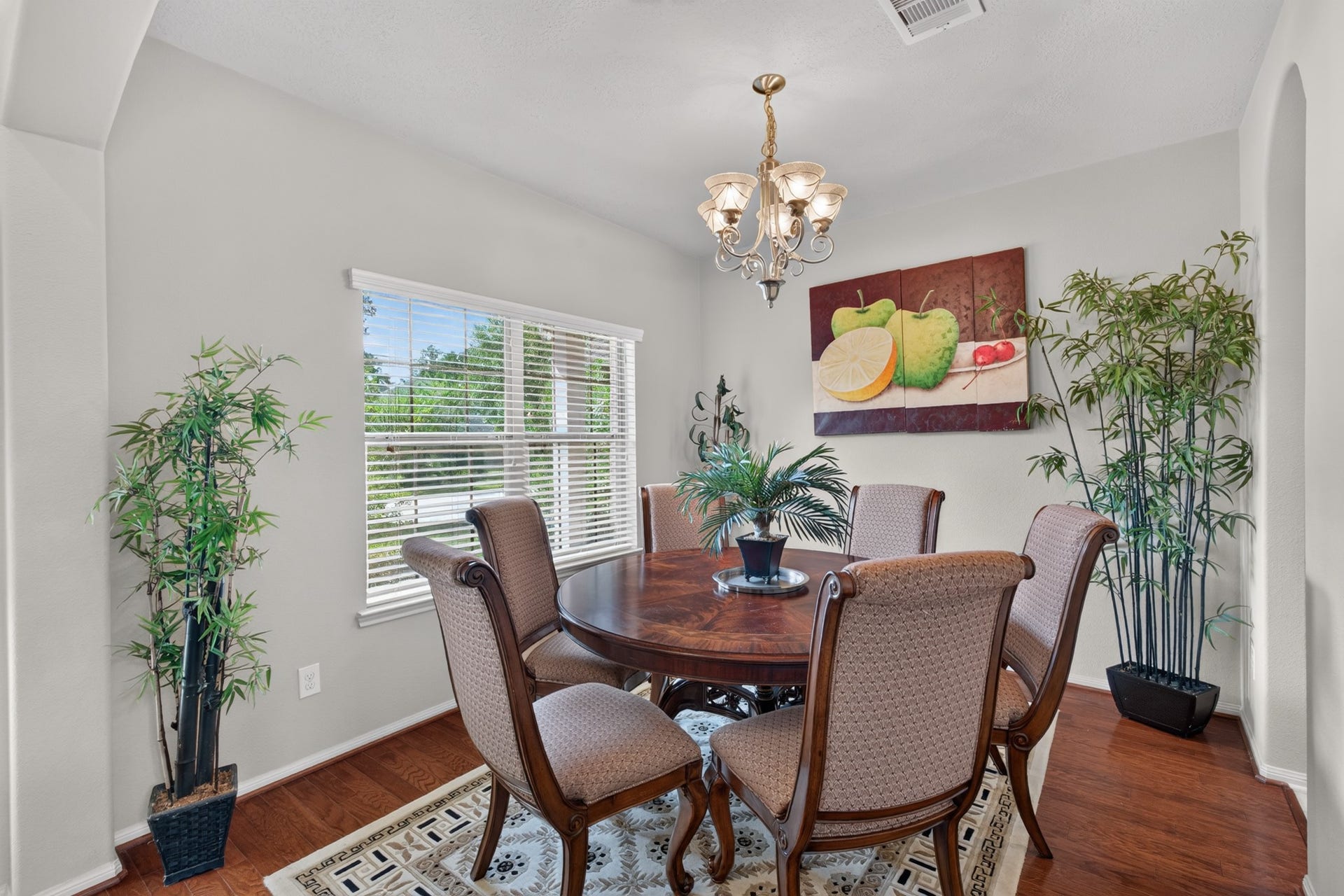 230 Tortoise Creek Place, Spring, TX 77389 230 Tortoise Creek Place, Spring, TX 77389