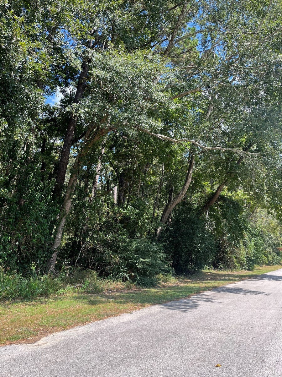 Property photo for 1611 ATHENS DR, Roman Forest, TX