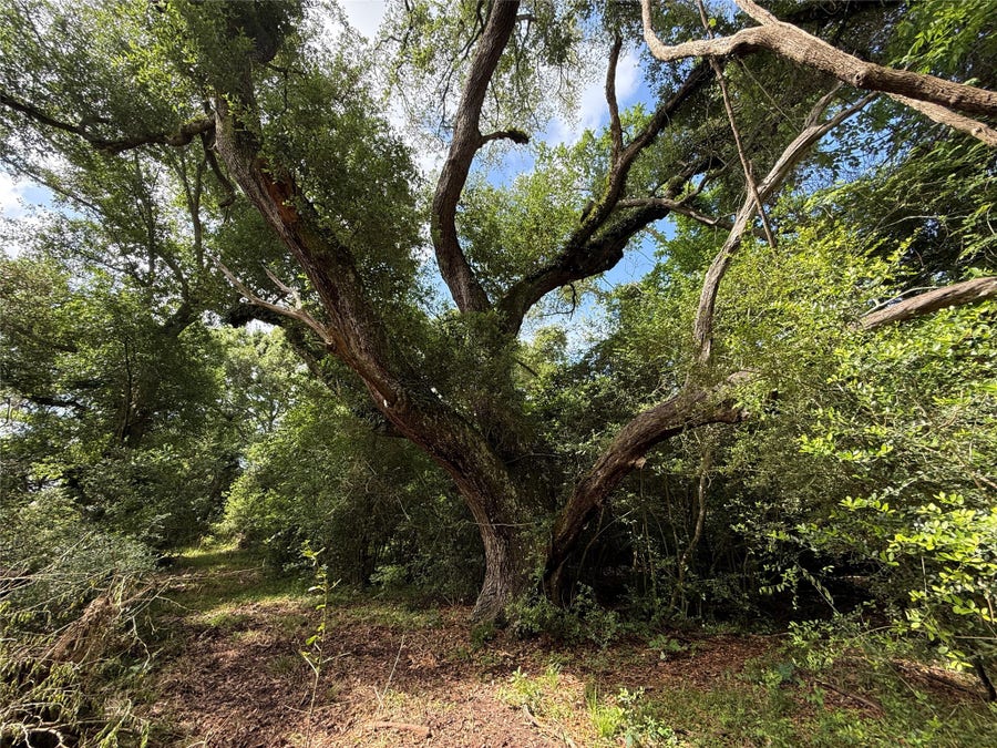 Property photo for 6827 Bryan Road, Jones Creek, TX