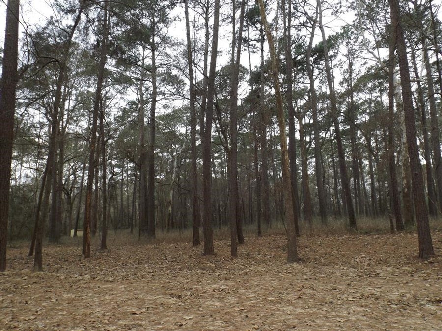 Property photo for 24018 Crooked Creek, Hockley, TX