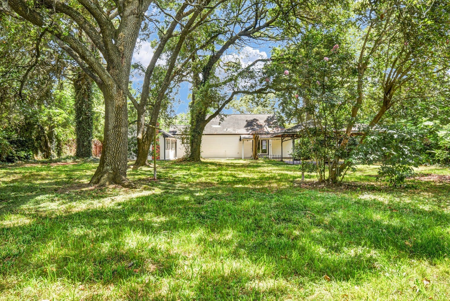 2642 Cedar Drive, La Marque, TX 77568 Mature trees on the property