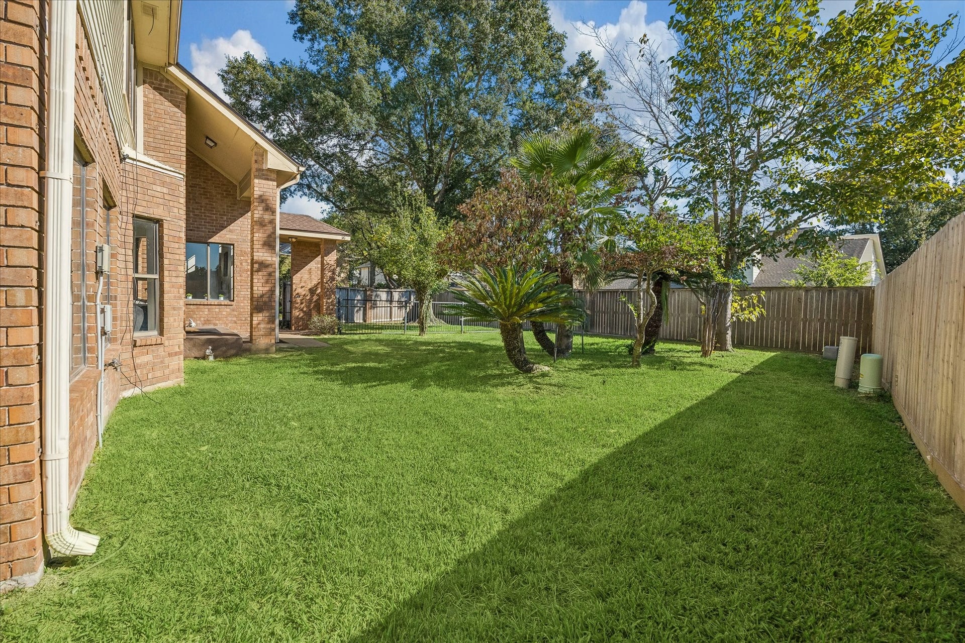View of backyard