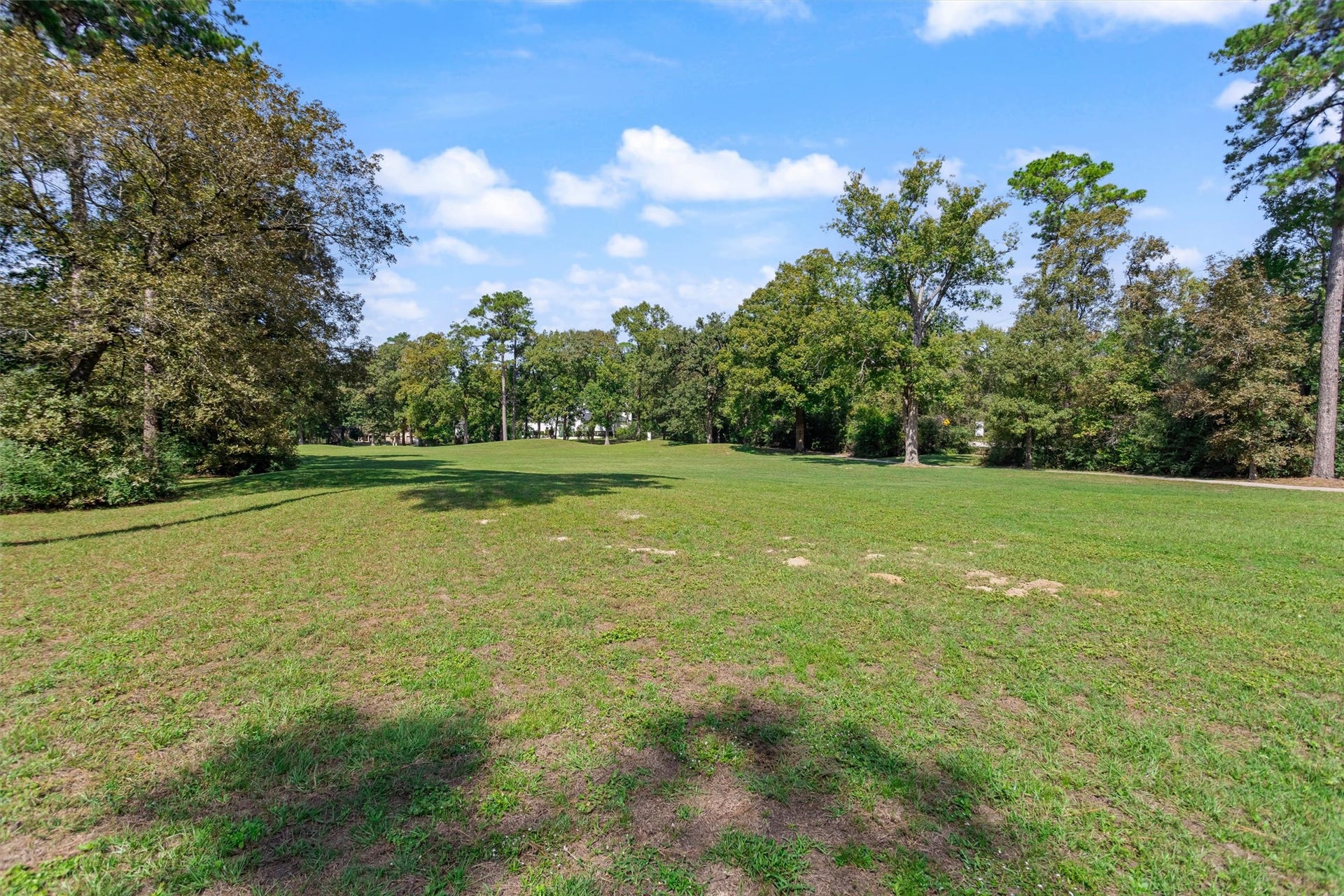 13 Royal Dalton Circle, Conroe, TX 77304 This 13 Royal Dalton Circle home is one of the few properties backing directly onto the greenspace of the former Wedgewood Golf Course. Now maintained by the City of Conroe, this expansive area offers scenic walking and jogging paths along the former cart trails. Best of all, you can enjoy the privacy and tranquility of having no rear neighbors.