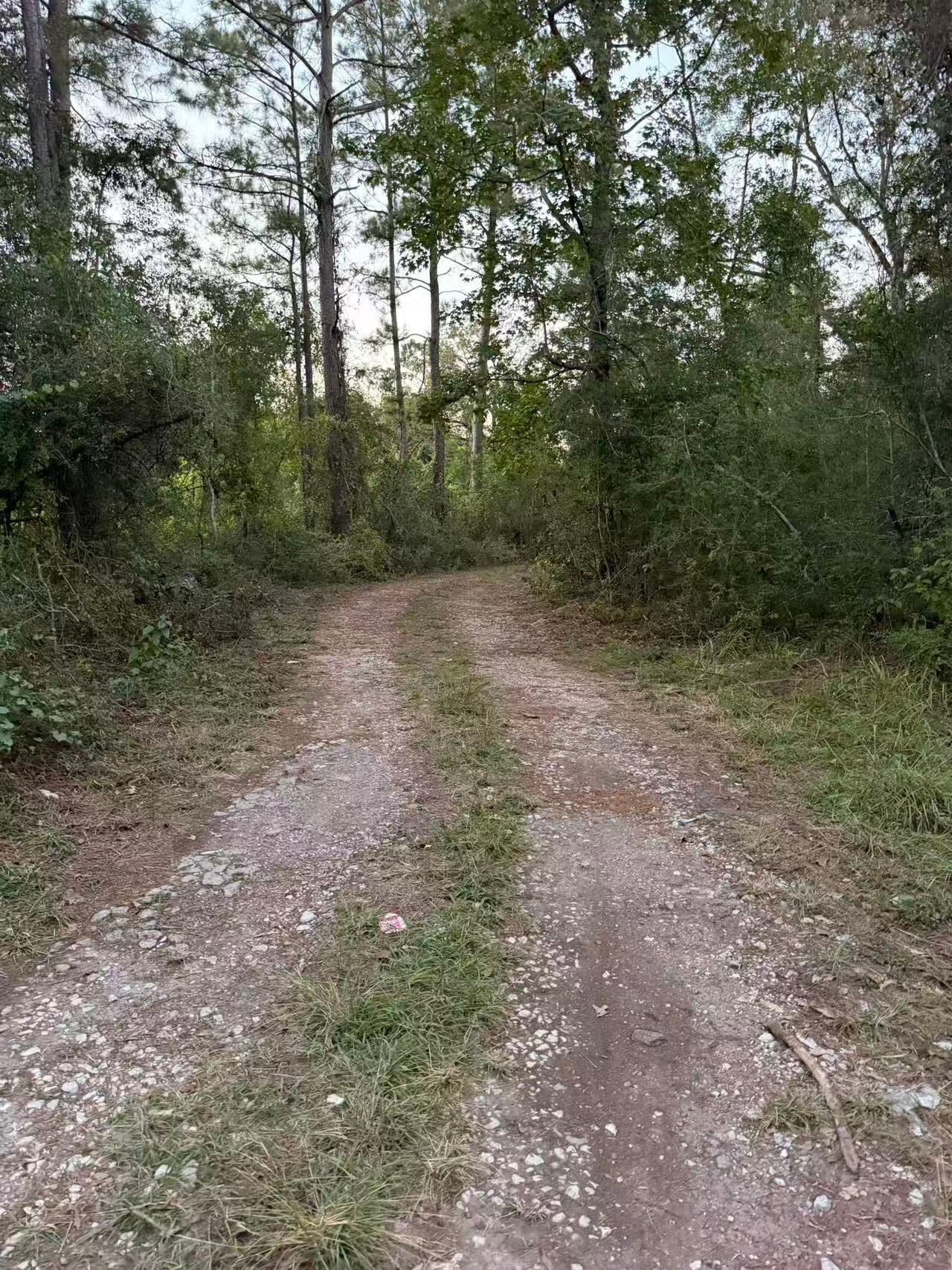 2765 Miller Road, Cleveland, TX 77328