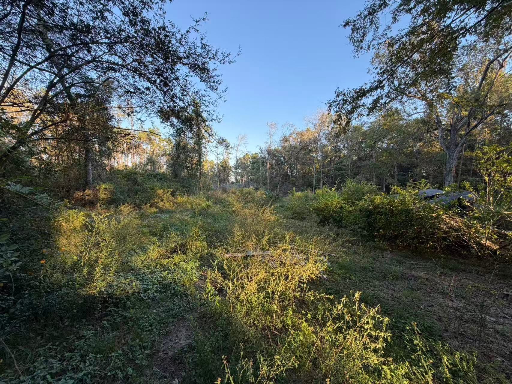 2765 Miller Road, Cleveland, TX 77328