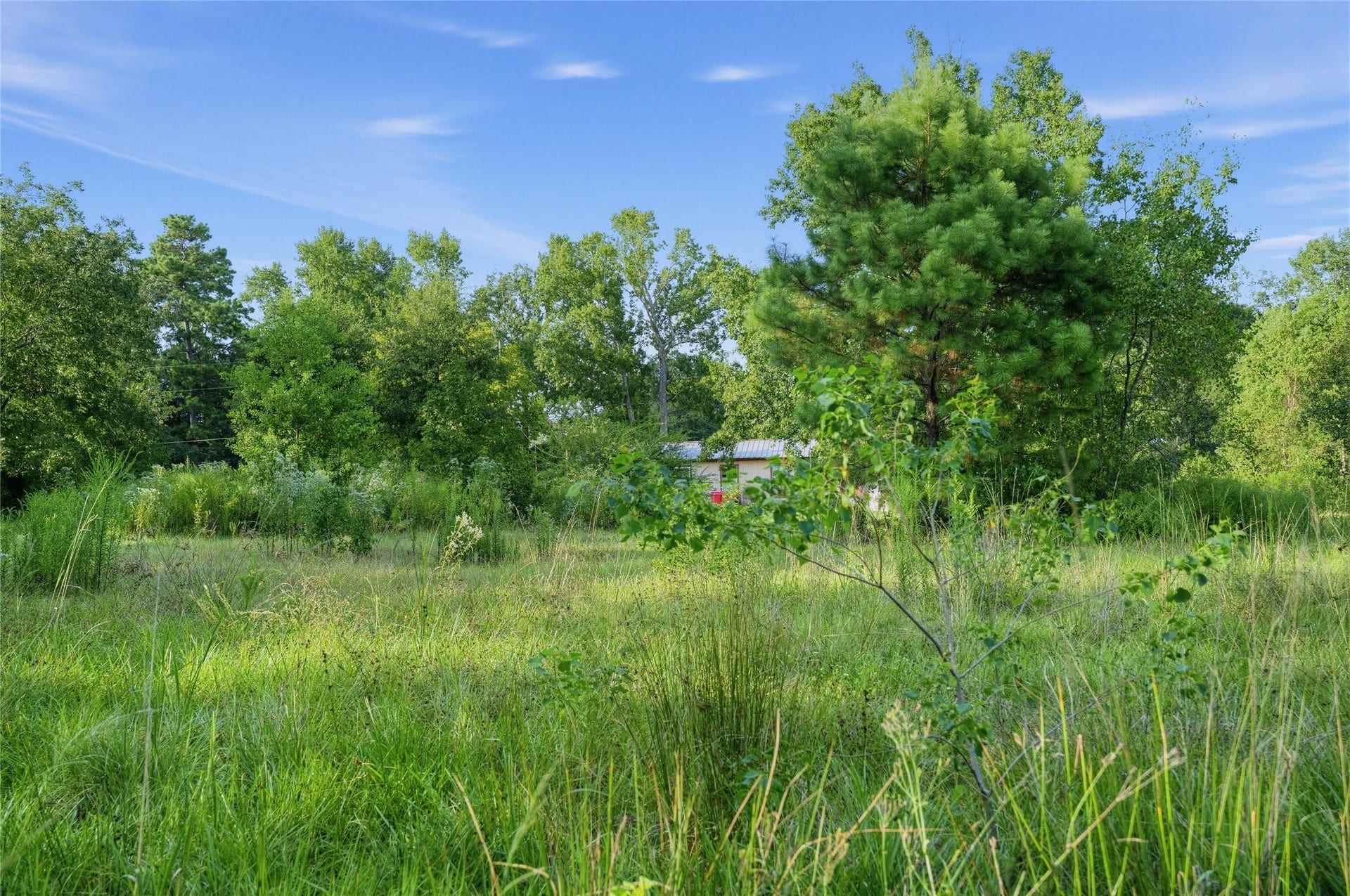 16887 Main Street, Splendora, TX 77372