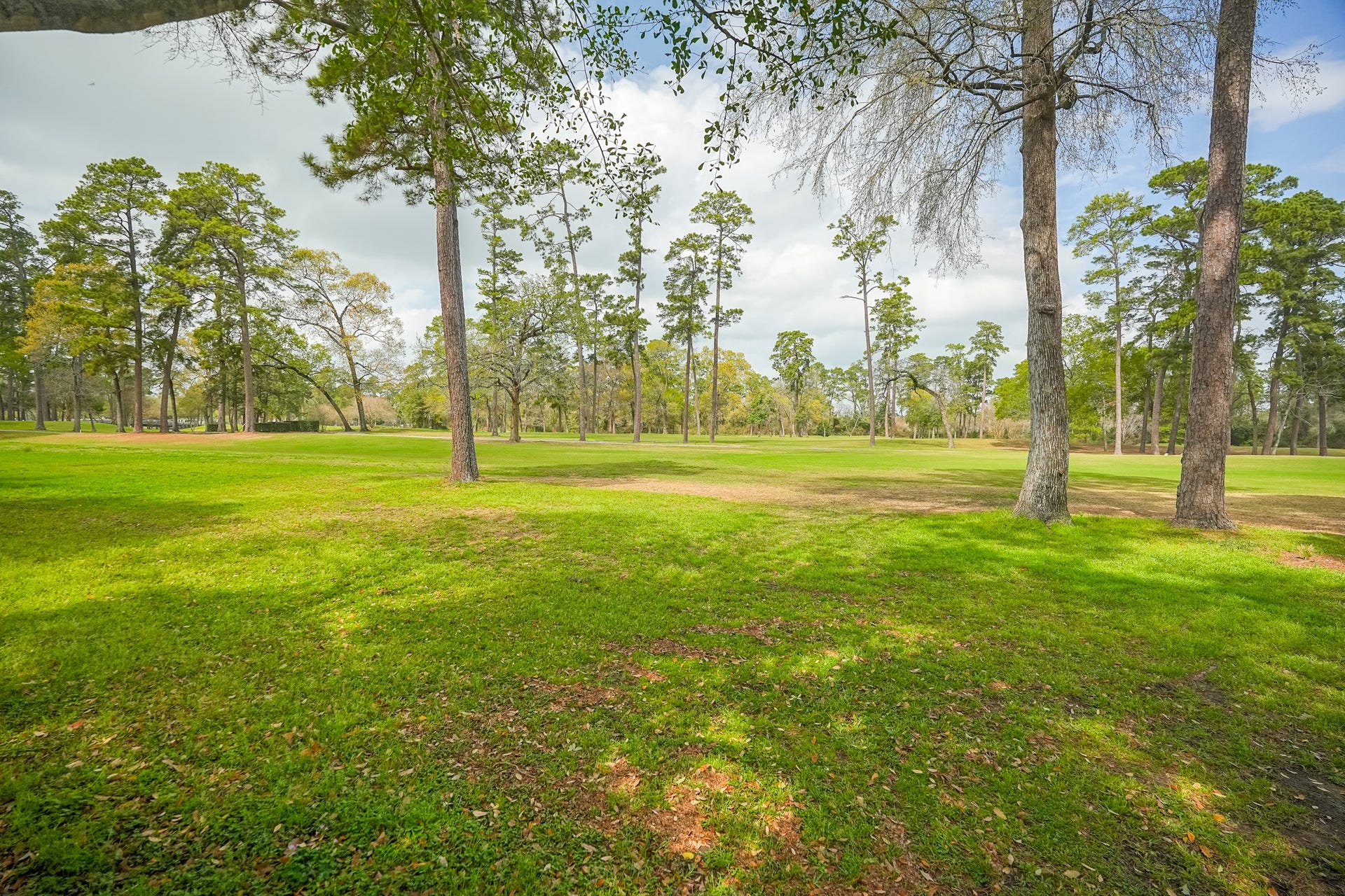 24710 Creekview Drive, Spring, TX 77389