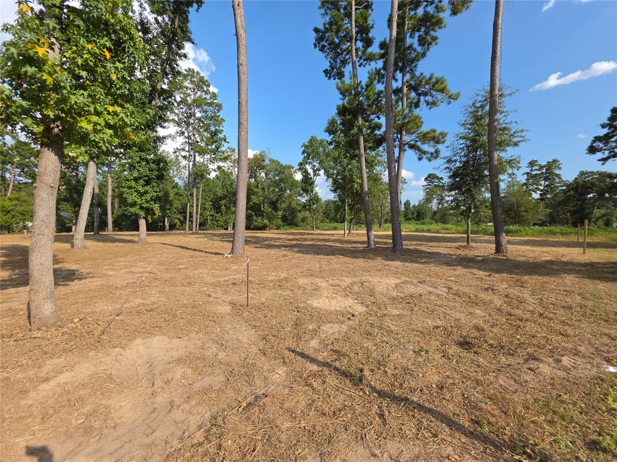 Property photo for Tract C-4 Gaff Road, Magnolia, TX