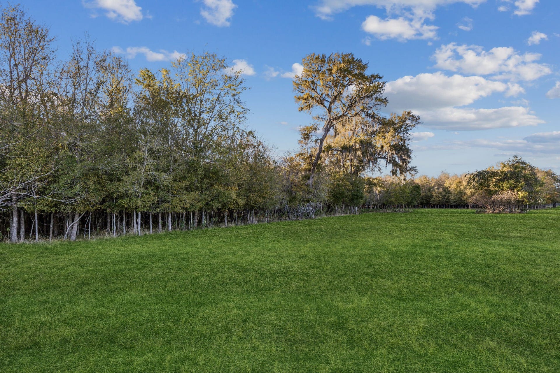 4802 Riverbend Ct, Fulshear, TX 77441 This is a rare opportunity to own your land with endless potential.