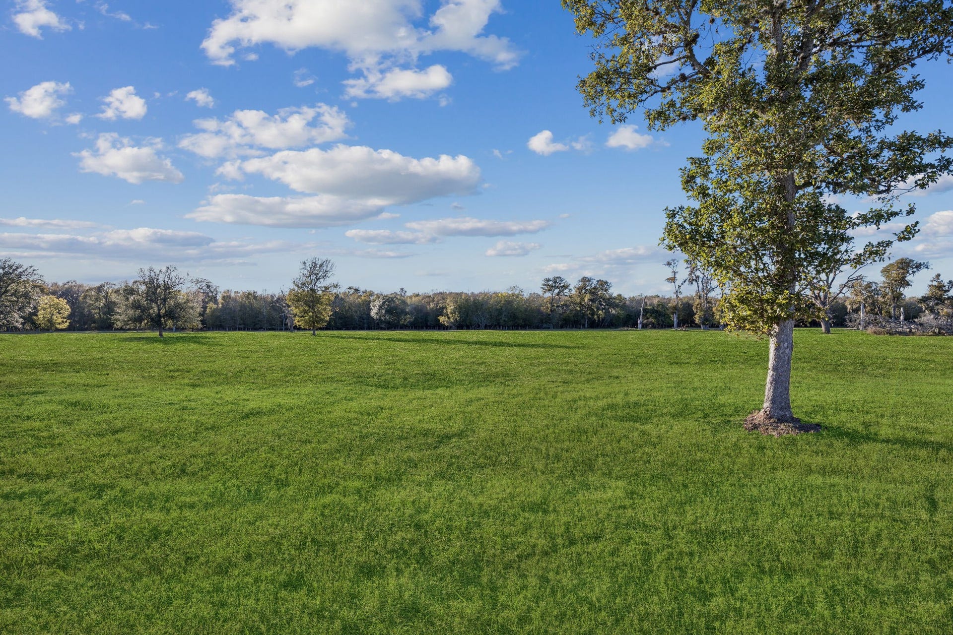 4802 Riverbend Ct, Fulshear, TX 77441 Surrounded by nature and filled with possibilities, this land gives you room to breathe and create.