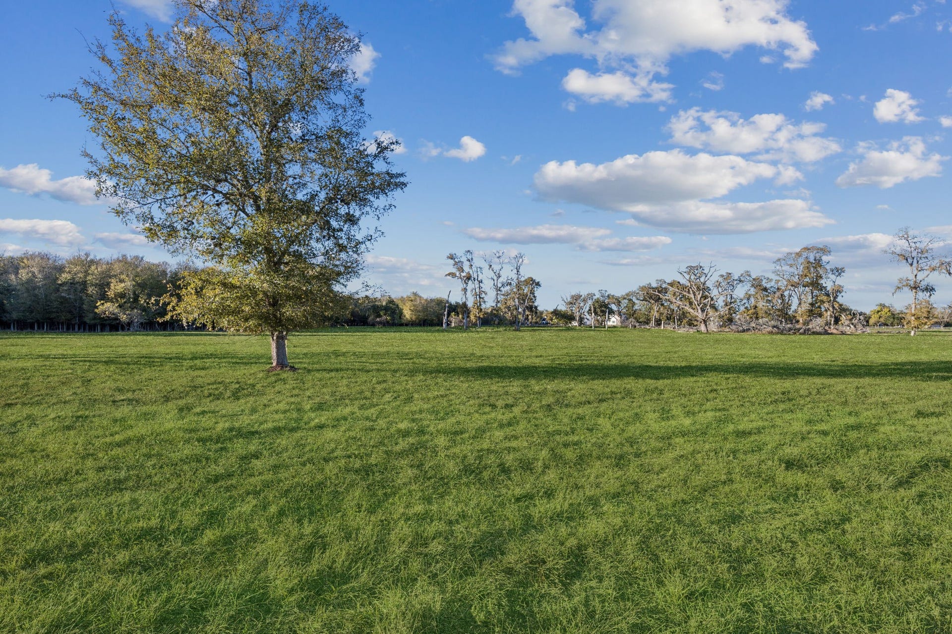4802 Riverbend Ct, Fulshear, TX 77441 Another view of this 9 acres from the ground.