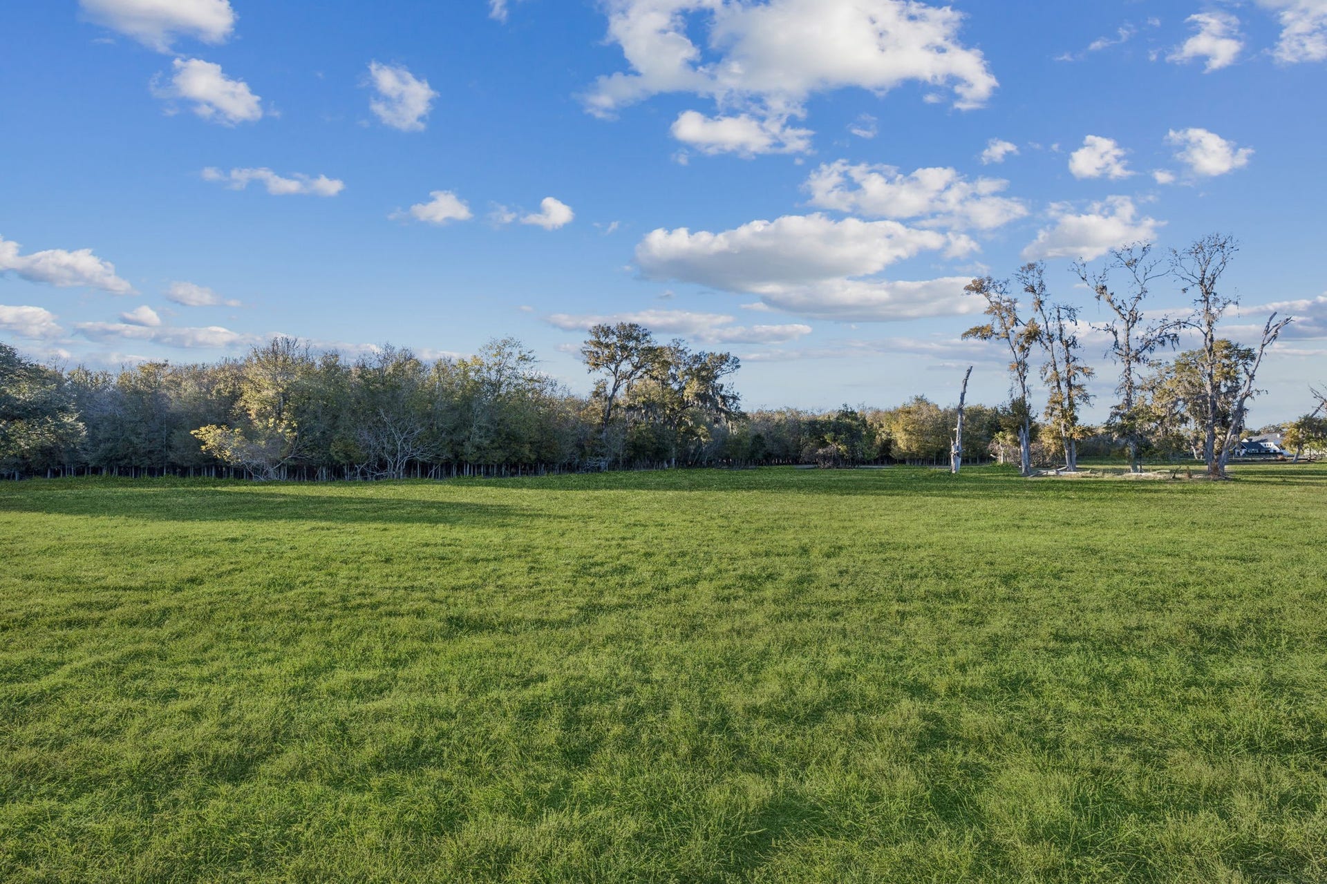 4802 Riverbend Ct, Fulshear, TX 77441 Take in the serene, tree-lined backdrop from your back porch, creating the perfect setting for privacy and tranquility.