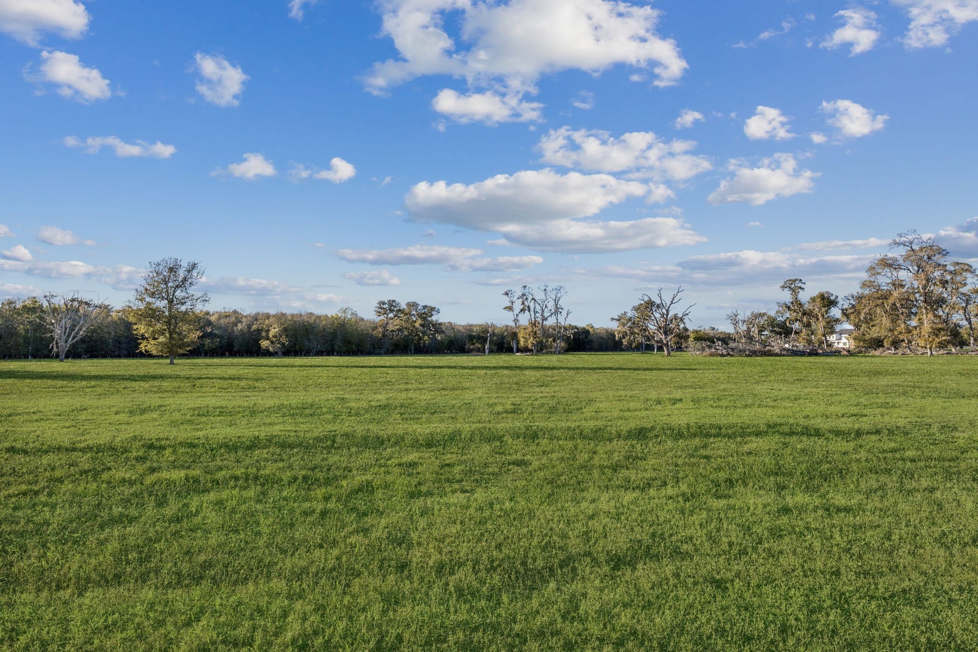 4802 Riverbend Ct, Fulshear, TX 77441 Enjoy the freedom and privacy of this expansive 9-acre lot, offering endless possibilities to design your own private retreat.