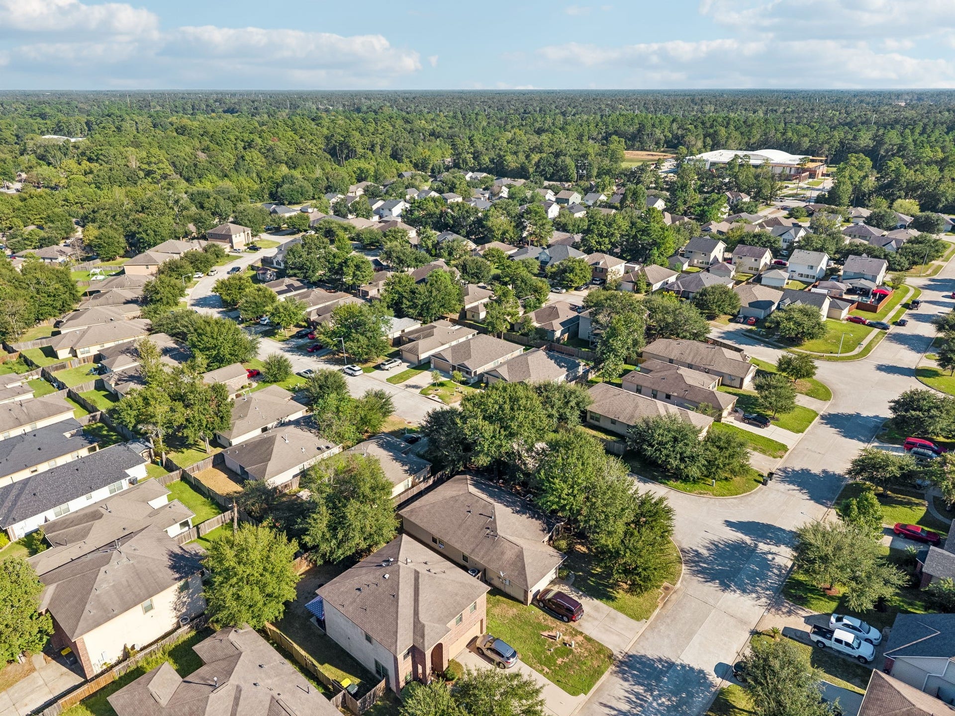 802 Lovebug Lane, Conroe, TX 77301 802 Lovebug Lane, Conroe, TX 77301