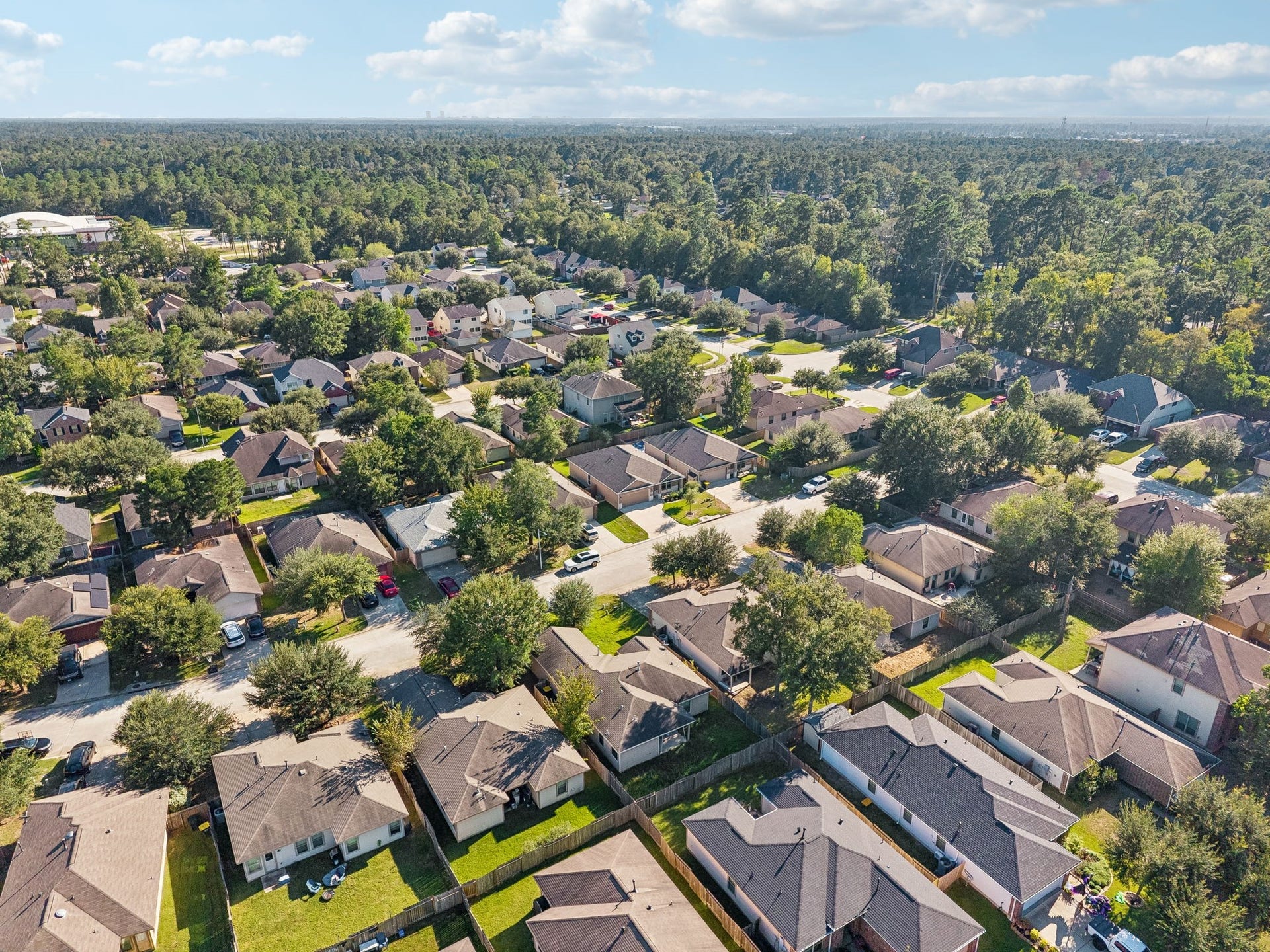 802 Lovebug Lane, Conroe, TX 77301 802 Lovebug Lane, Conroe, TX 77301