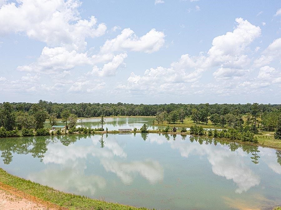 215 Shoreview Drive, Conroe, TX 77303 215 Shoreview Drive, Conroe, TX 77303