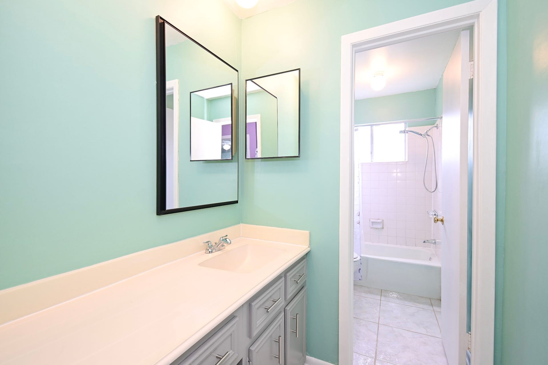 8615 Belle Park Drive, Houston, TX 77099