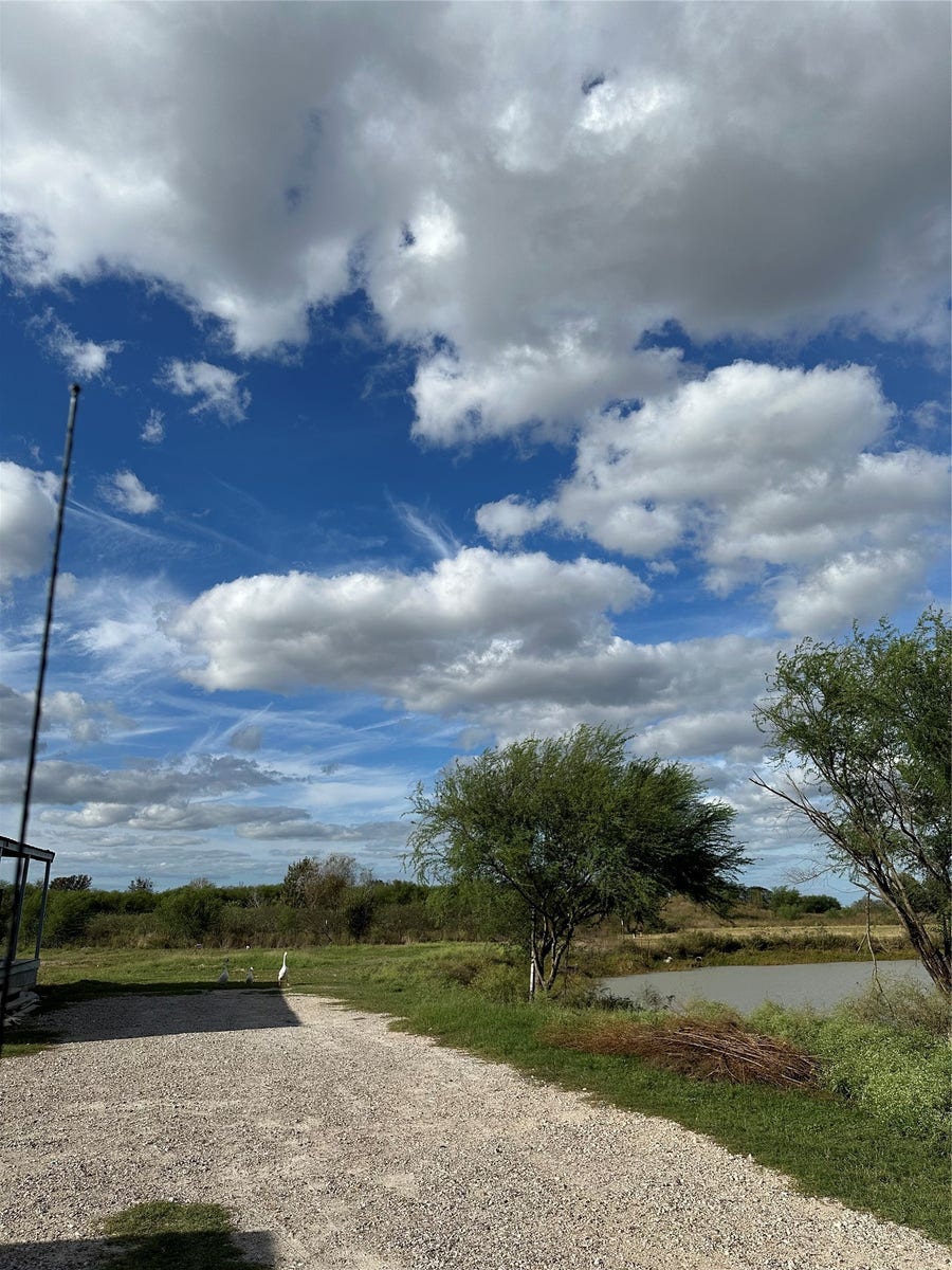 Property photo for 2134 Fm 1875 Road, #B, Beasley, TX