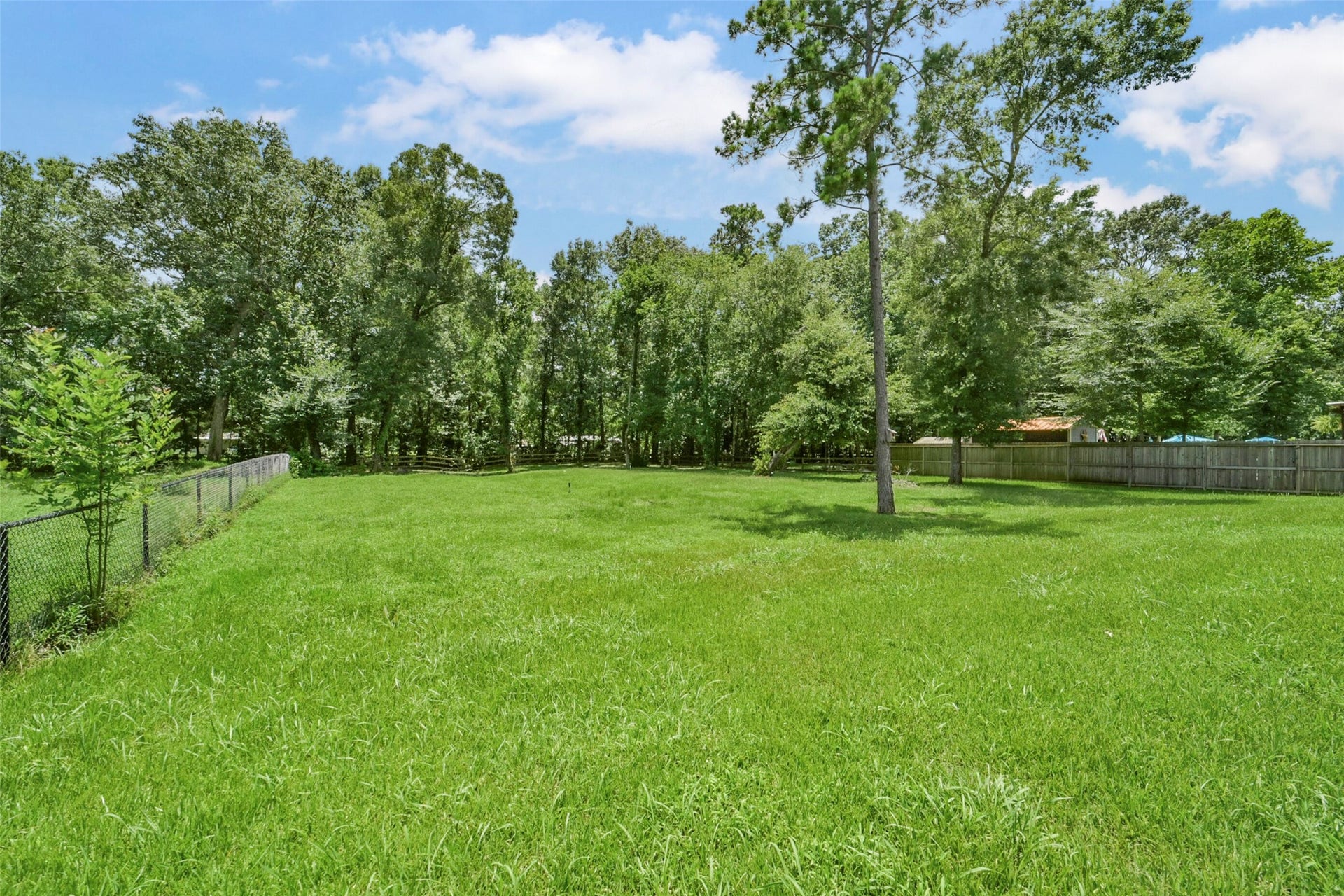 82 Road 6607, Dayton, TX 77535 Beautiful back yard, no ai pics here, this is the real green grass back here! 82 Road 6607, Dayton TX 77535