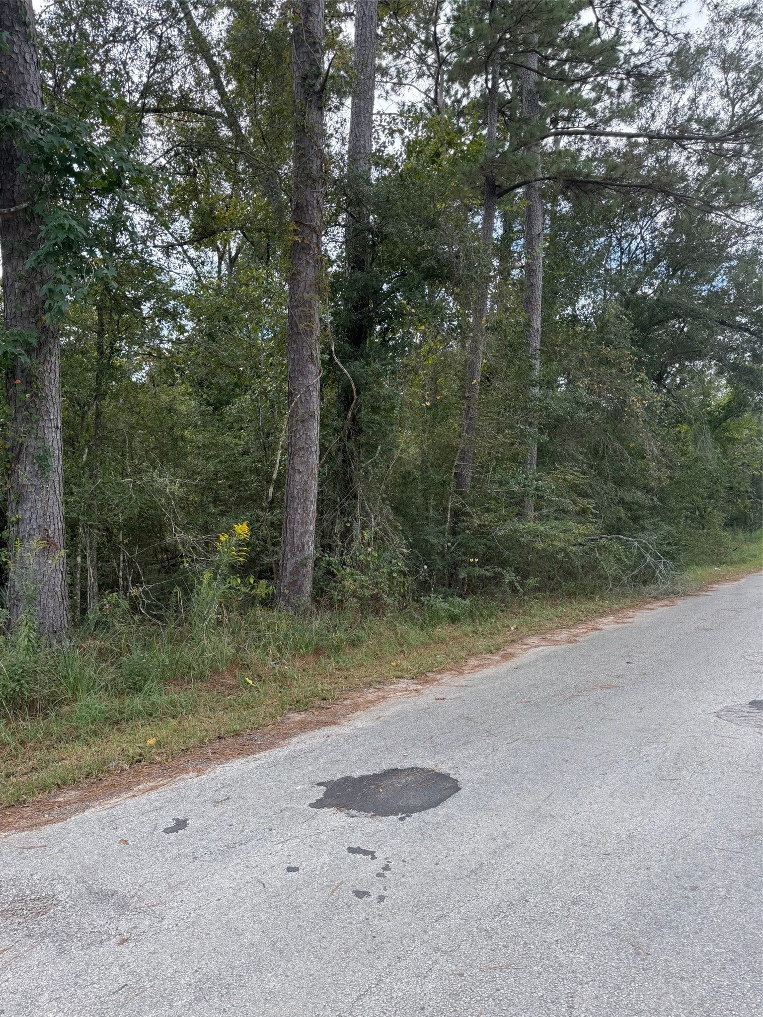 Lot 16 Long Street, Splendora, TX 77372 Lot 16 Long Street, Splendora, TX 77372
