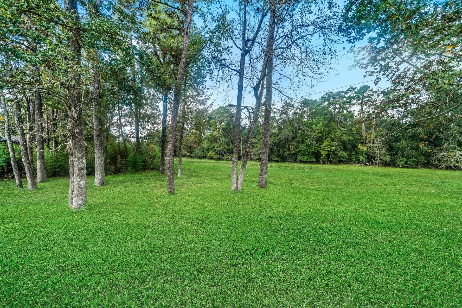 19603 Swiftbrook Drive, Humble, TX 77346