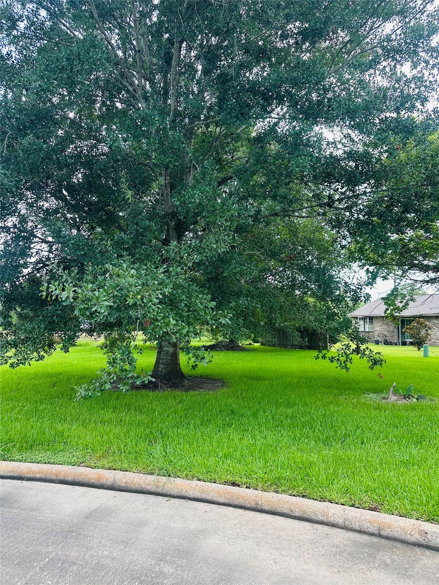 Property photo for 0 Carey Drive, Angleton, TX