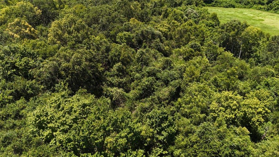 Property photo for TBD County Road 42 Lots 2A5-2A6, Rosharon, TX