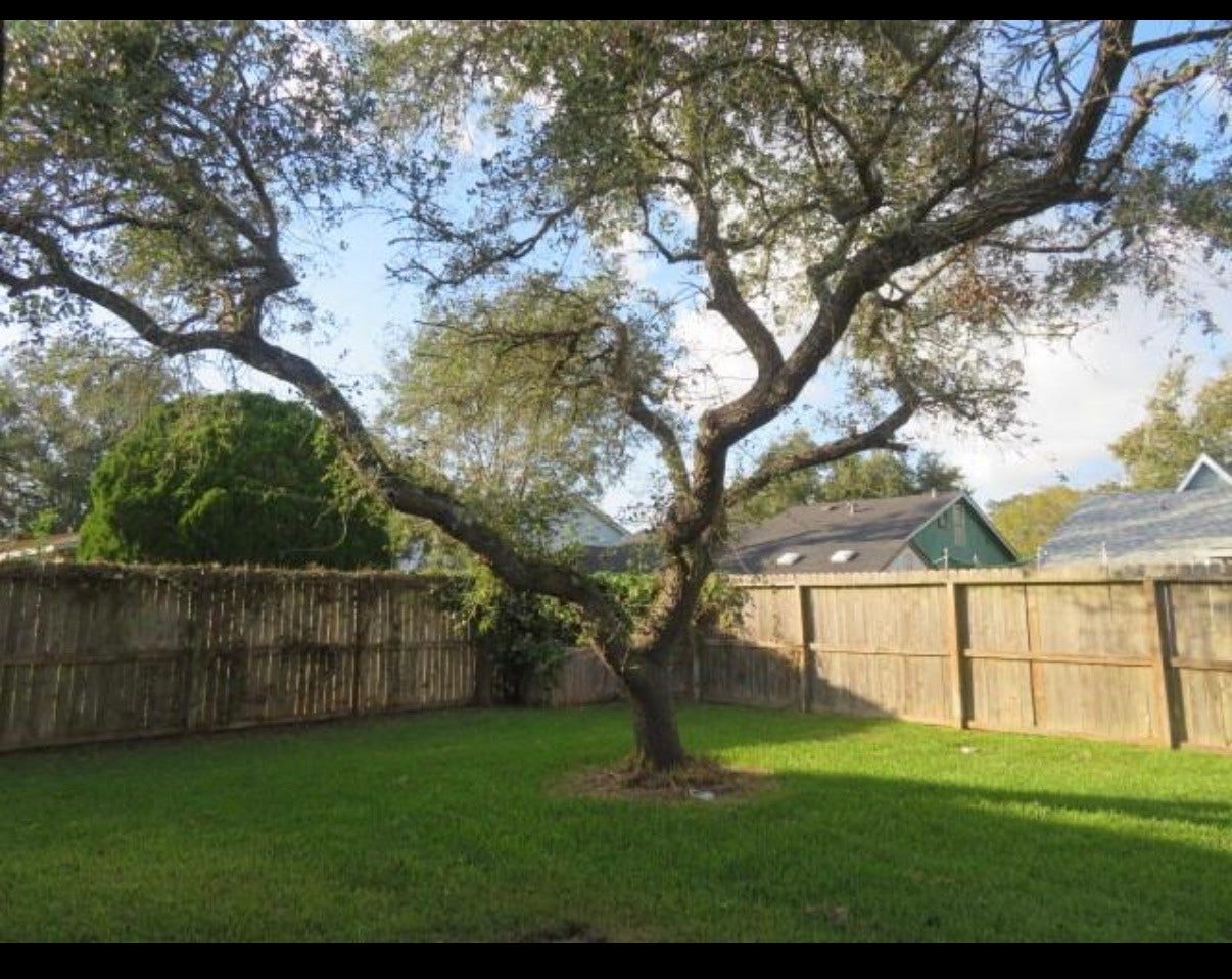 2506 Northern Drive, League City, TX 77573 Pretty tree in backyard