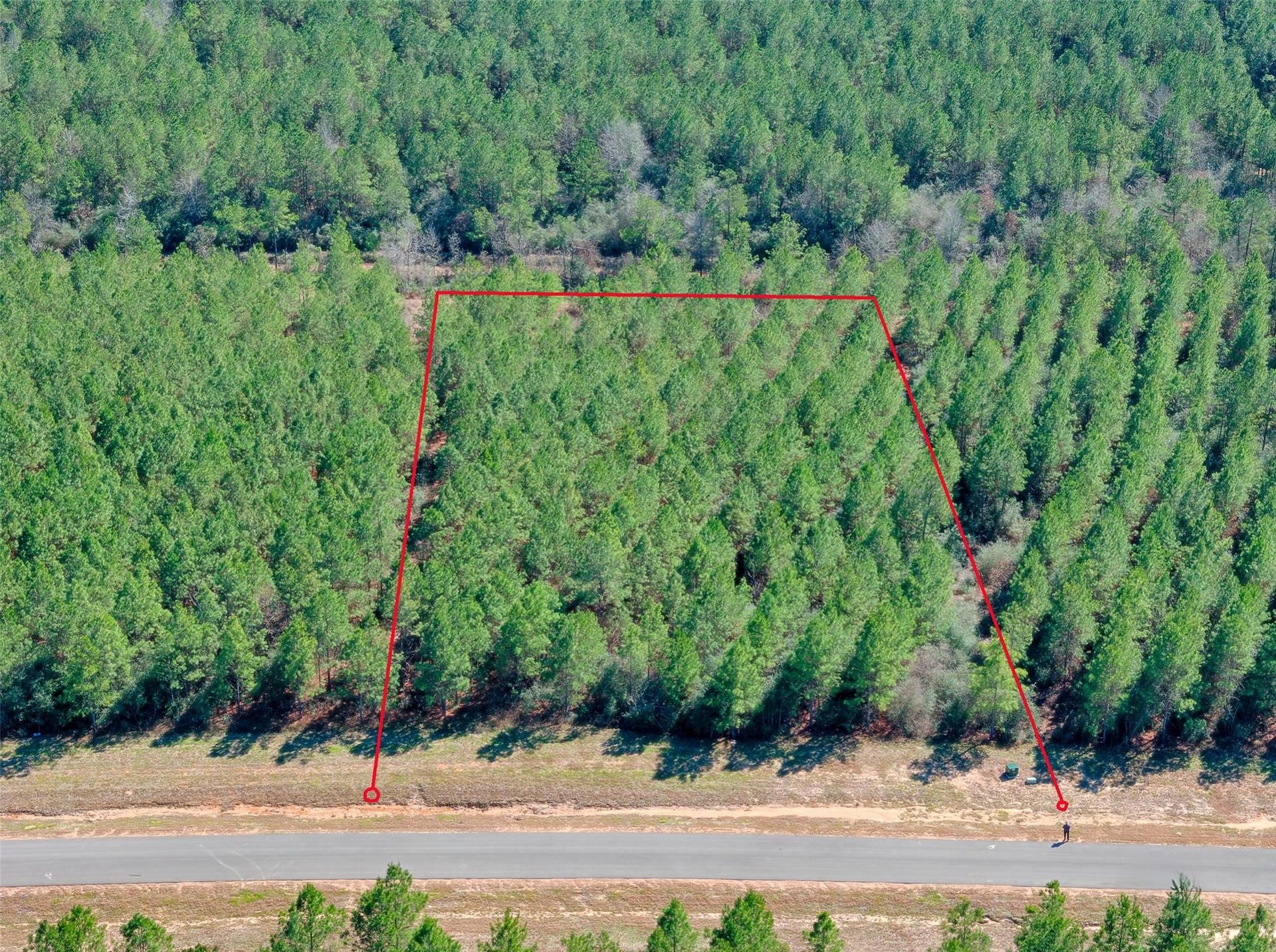 A favorable lot configuration and relatively light tree coverage may provide greater flexibility when designing your future home and potentially reduce clearing costs and lot preparation fees. Buyers need to verify this information.
