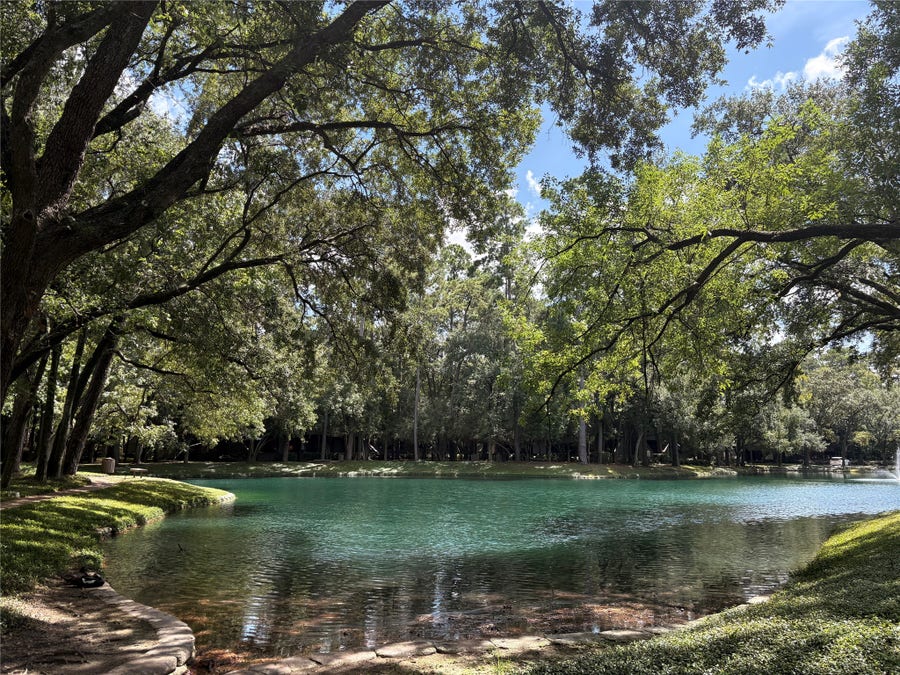 Property photo for 153 Litchfield Lane, Houston, TX