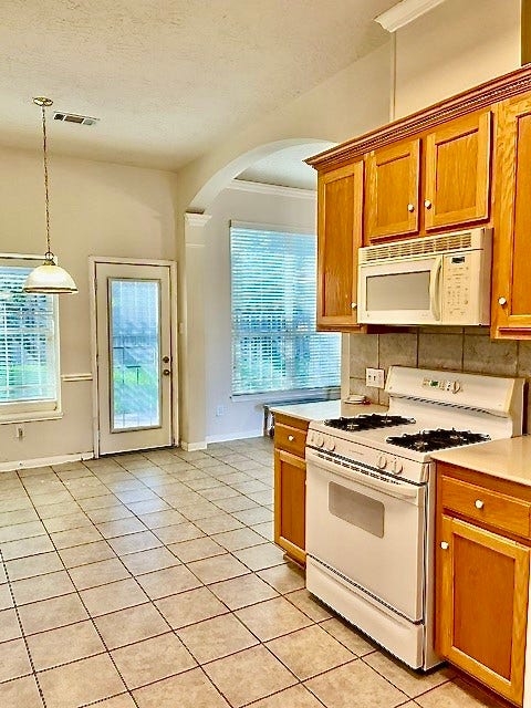 19411 Briarsedge Court, Katy, TX 77449