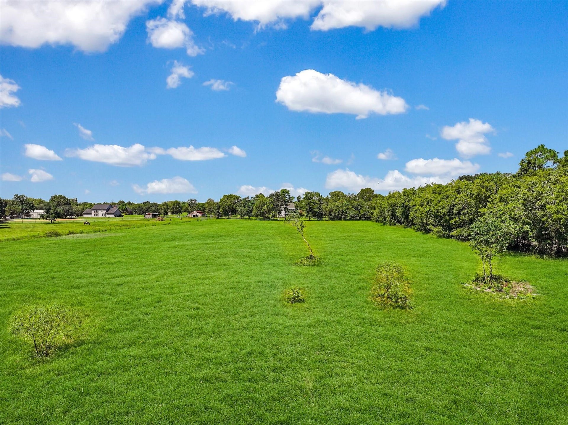 0 Hollier Road, Friendswood, TX 77546 Cleared and ready for you to build your dream home.