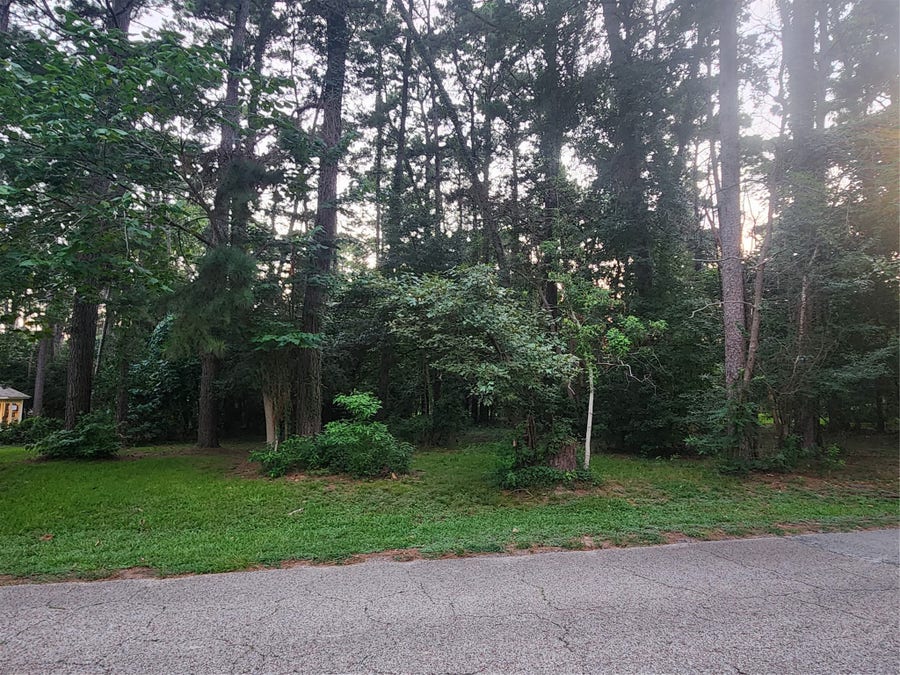 Property photo for TBD Corinthian Way, Willis, TX