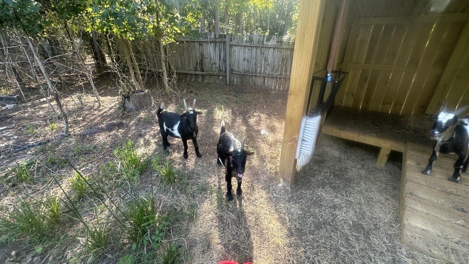 24783 Country Oaks Boulevard, Montgomery, TX 77316 24783 Country Oaks Boulevard, Montgomery, TX 77316