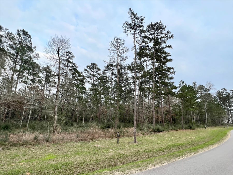 Property photo for TBD6 Lily Bean Road, Montgomery, TX