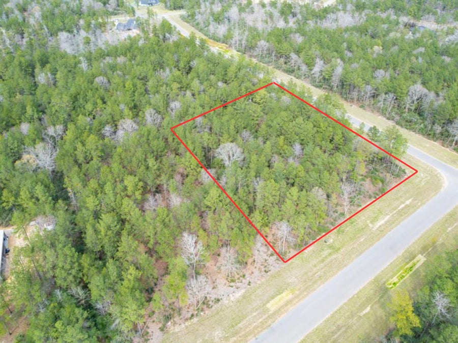Property photo for 10521 Chapter Drive, Willis, TX