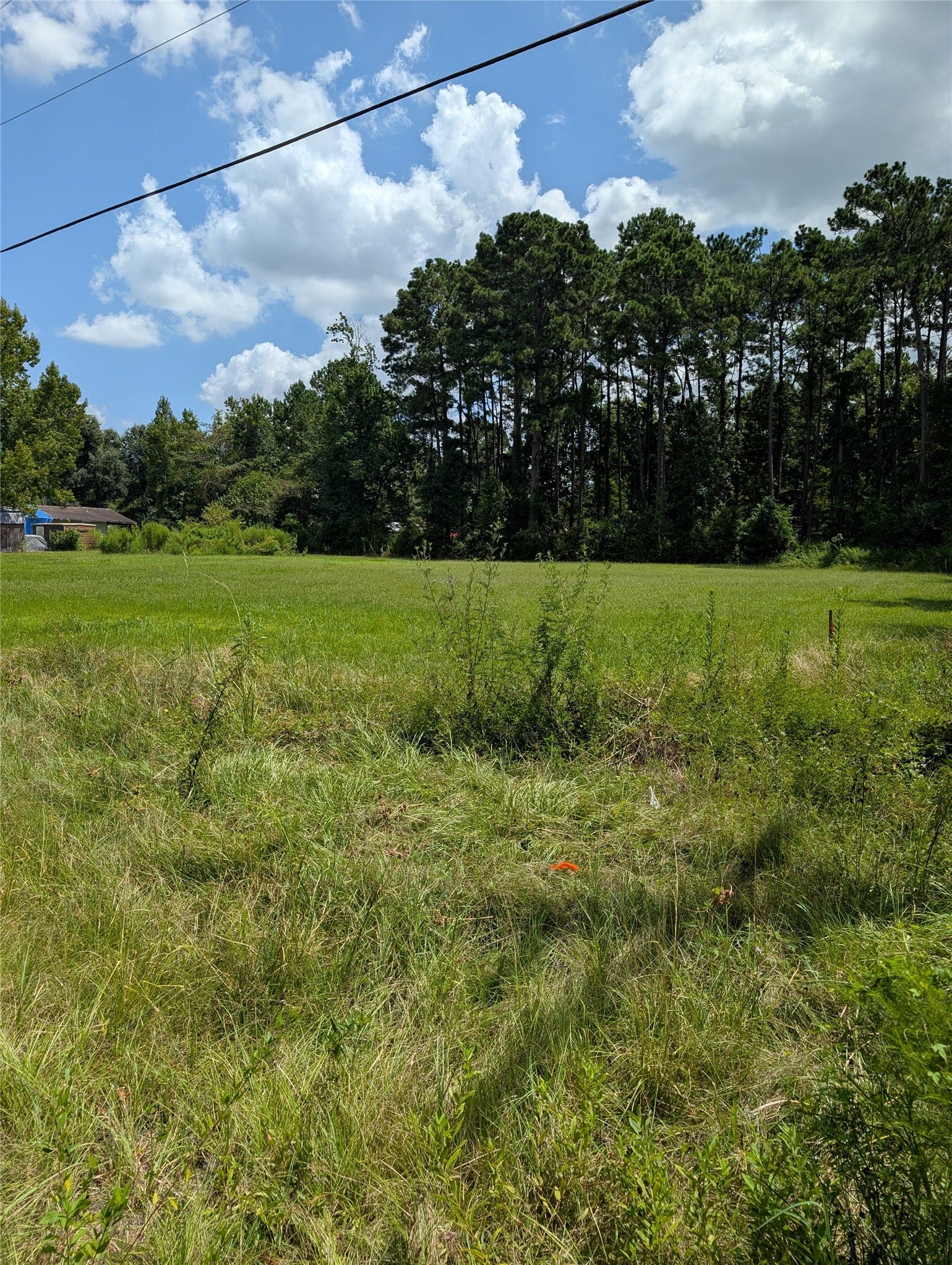 20265 Willaby Road, New Caney, TX 77357